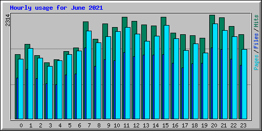 Hourly usage for June 2021